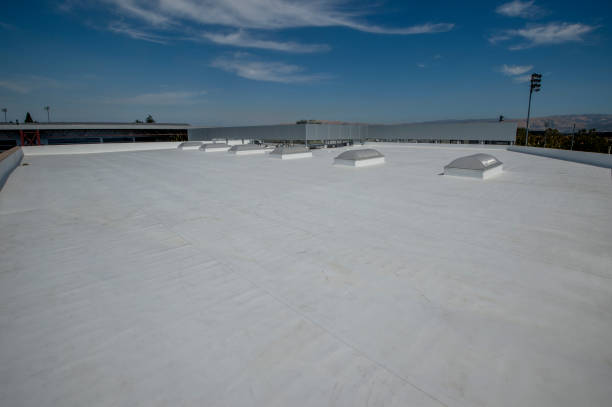 Best Skylight Installation and Repair  in Newport, WA