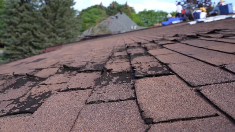Best Steel Roofing  in Newport, WA