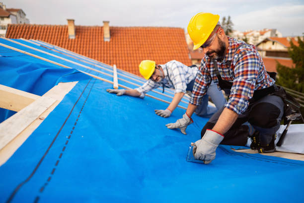 Best Roof Moss and Algae Removal  in Newport, WA