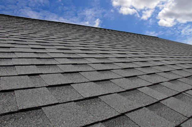 Best Solar Panel Roofing Installation  in Newport, WA